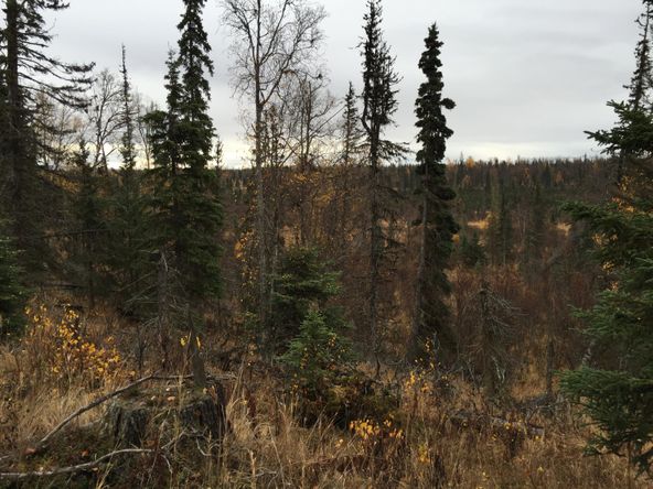 63885 Tailwind Rd, Ninilchik, AK 99639